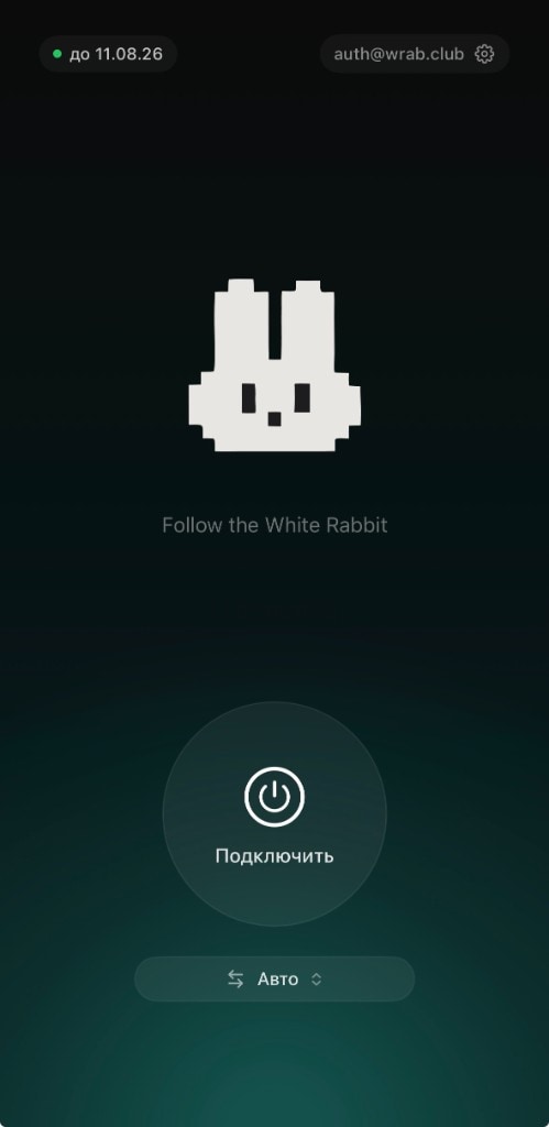 Wrab для iPhone — экран ожидания, кнопка Подключить